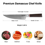 8 Inch Damascus Chef Knife Premium Razar-Sharp Blade Kitchen Knife